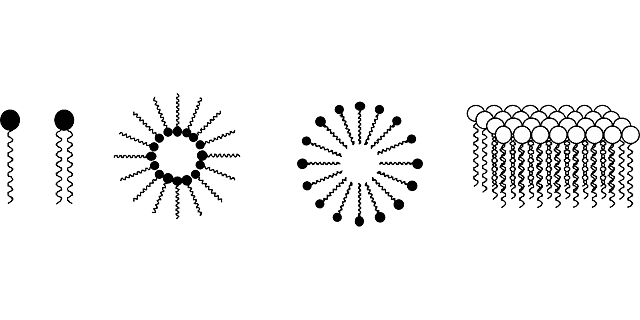 À propos de vitamines liposomales