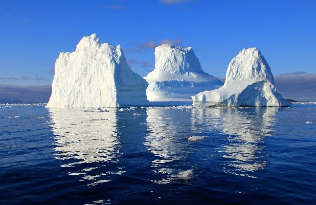 Trois algues de l’Océan Arctique