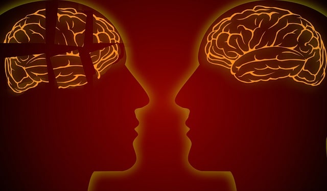 MALADIE D’ALZHEIMER : Est-il possible de la prévenir avec la vitamine C ?