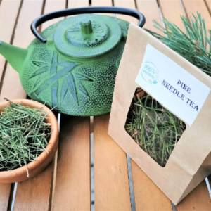 Aiguille de Pin Sylvestre