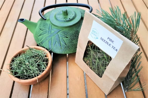 Aiguille de Pin Sylvestre