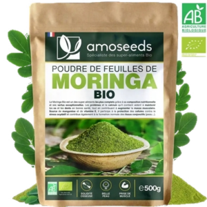 Poudre de Moringa Bio
