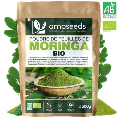Poudre de Moringa Bio